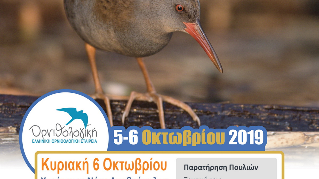  Γιορτή πουλιών Οκτώβριος 2019