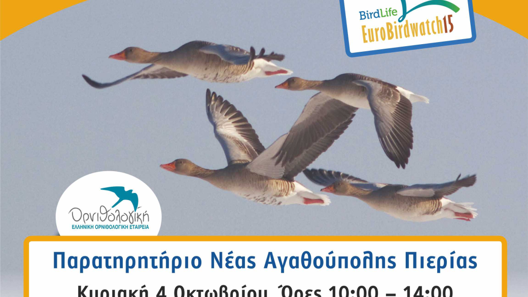 Γιορτή πουλιών 2015 Ν. Αγαθούπολη