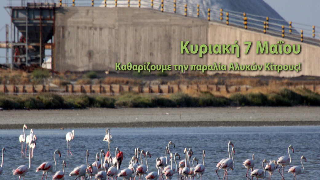 Κυριακή 7 Μαϊου 2017 Καθαρίζουμε τις Αλυκές Κίτρους- 7η Εκστρατεία εθελοντικών κ