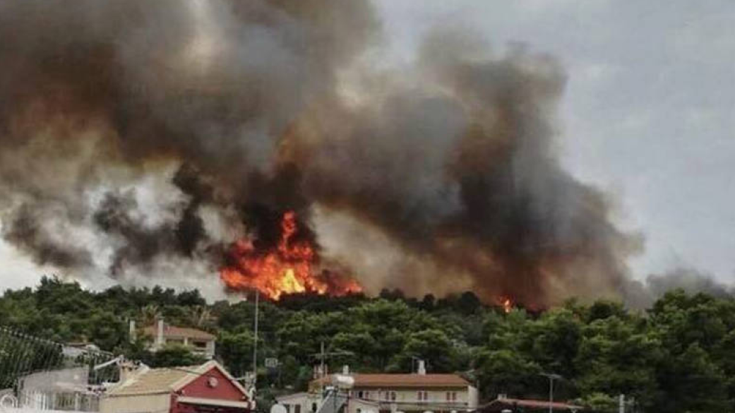 Ανακοίνωση για τις υποχρεώσεις οικοπεδούχων για την αποφυγή εκδήλωσης πυρκαγιάς