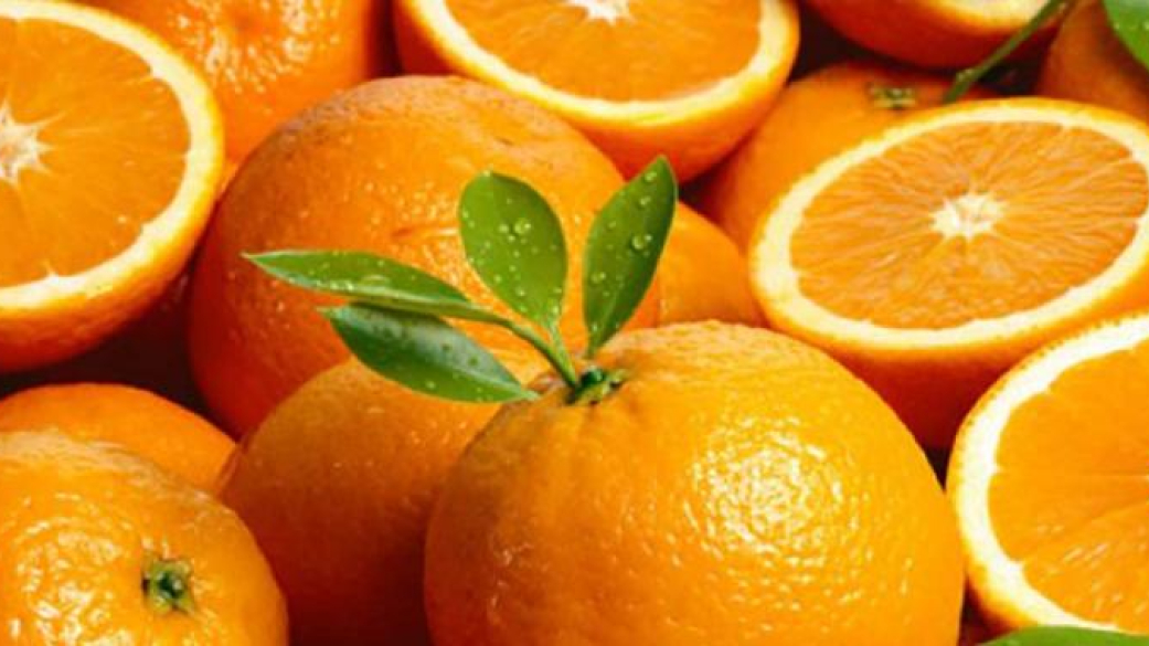 Δήμος Πύδνας Κολινδρού-Πορτοκάλια